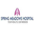 Spring-Meadows