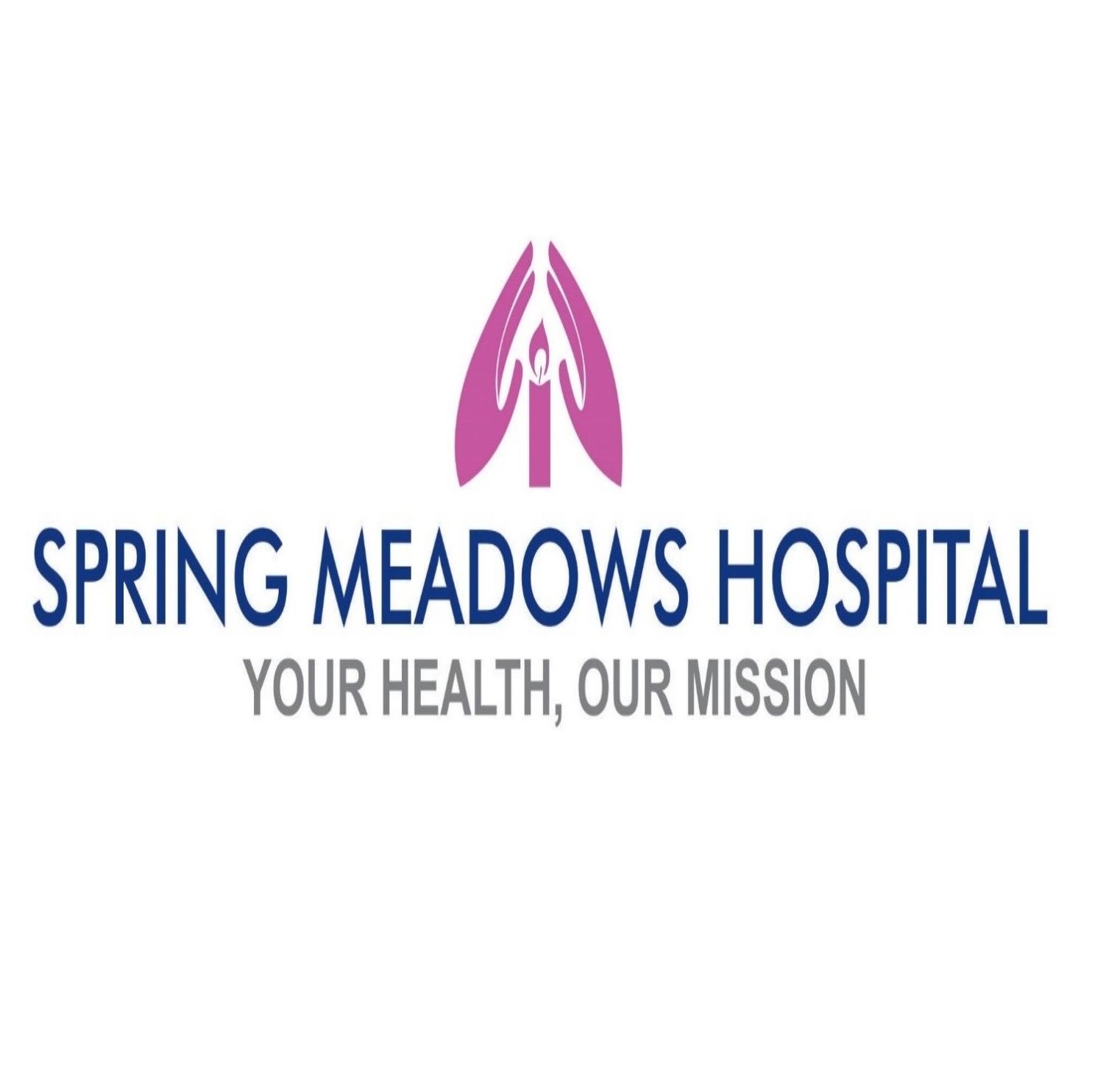 Spring-Meadows